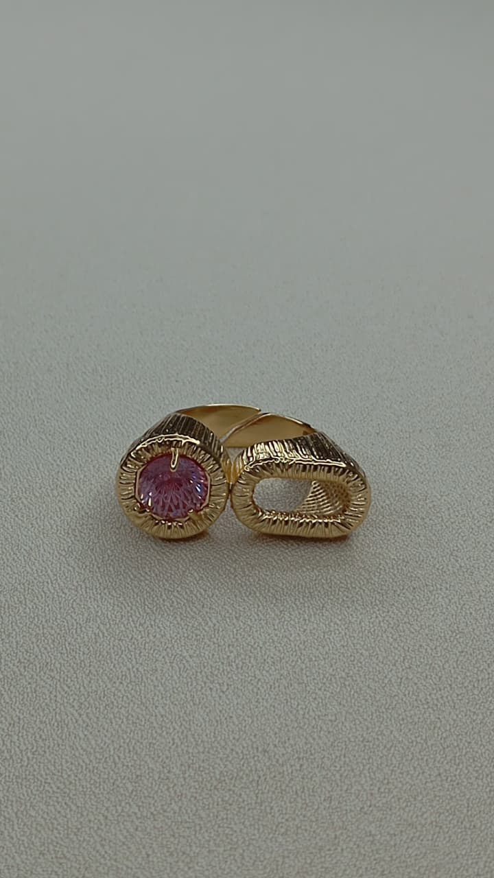ANF 1262
